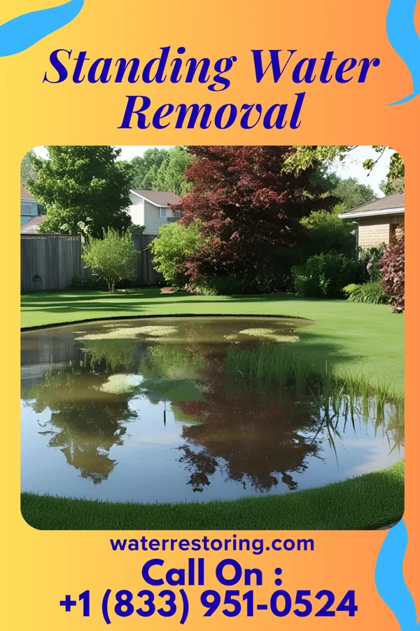Standing Water Removal in Middletown, IN